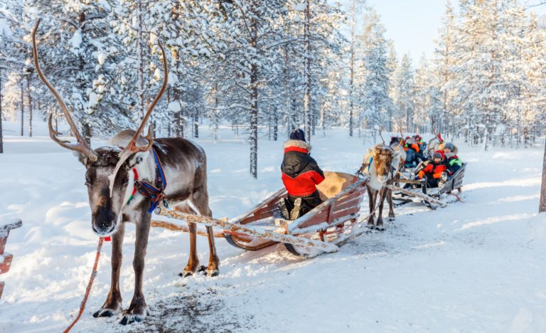 Laponia y Antártida: destinos que sorprenden en cada paso
