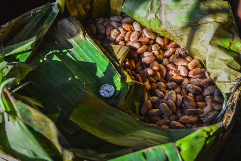 Mamá-pacha-chocolate-mx