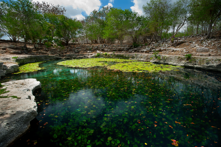 Mérida-Cenote-Xlacah-ZA-Dzibilchaltún-8459