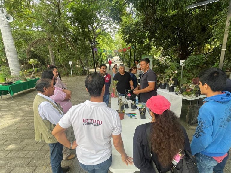 Museo-Botánico-de-tuxtla-mx