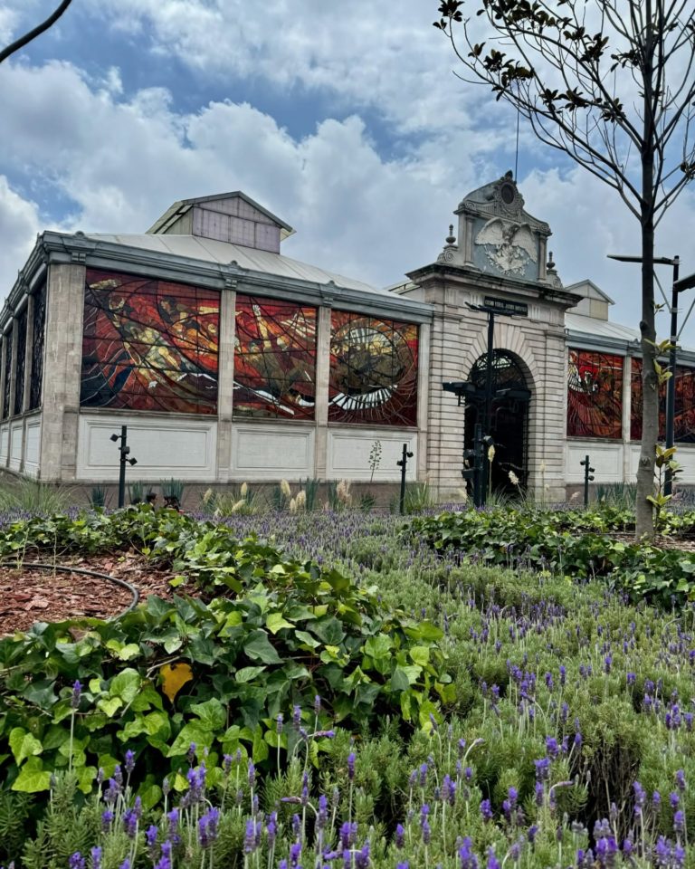 Museo-Taller-Luis-Nishizawa-mex