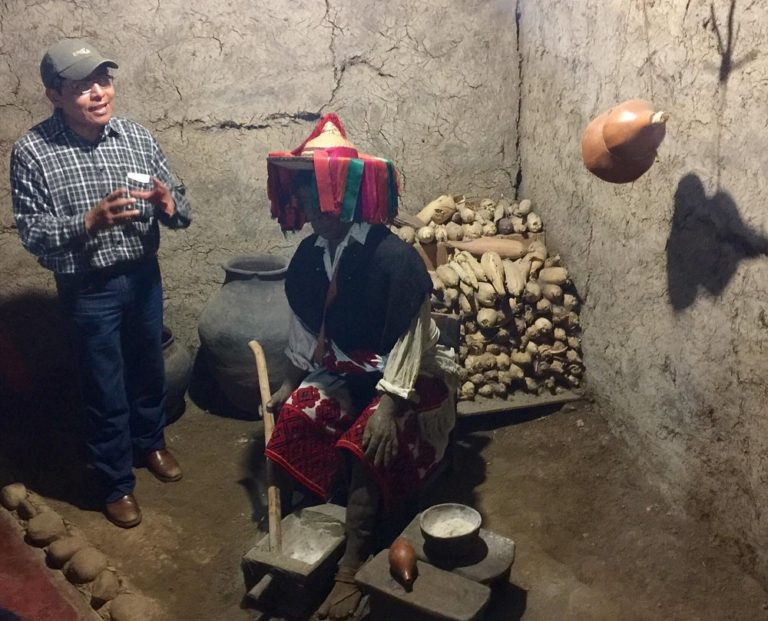 Museo-de-la-Medicina-Maya