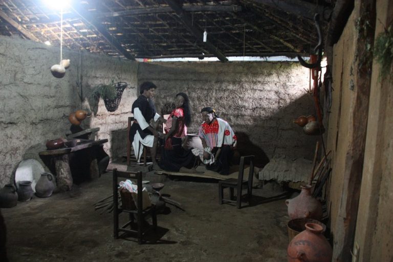 Museo-de-la-Medicina-mexico