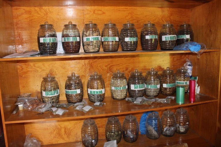 Museo-indigena-mexico