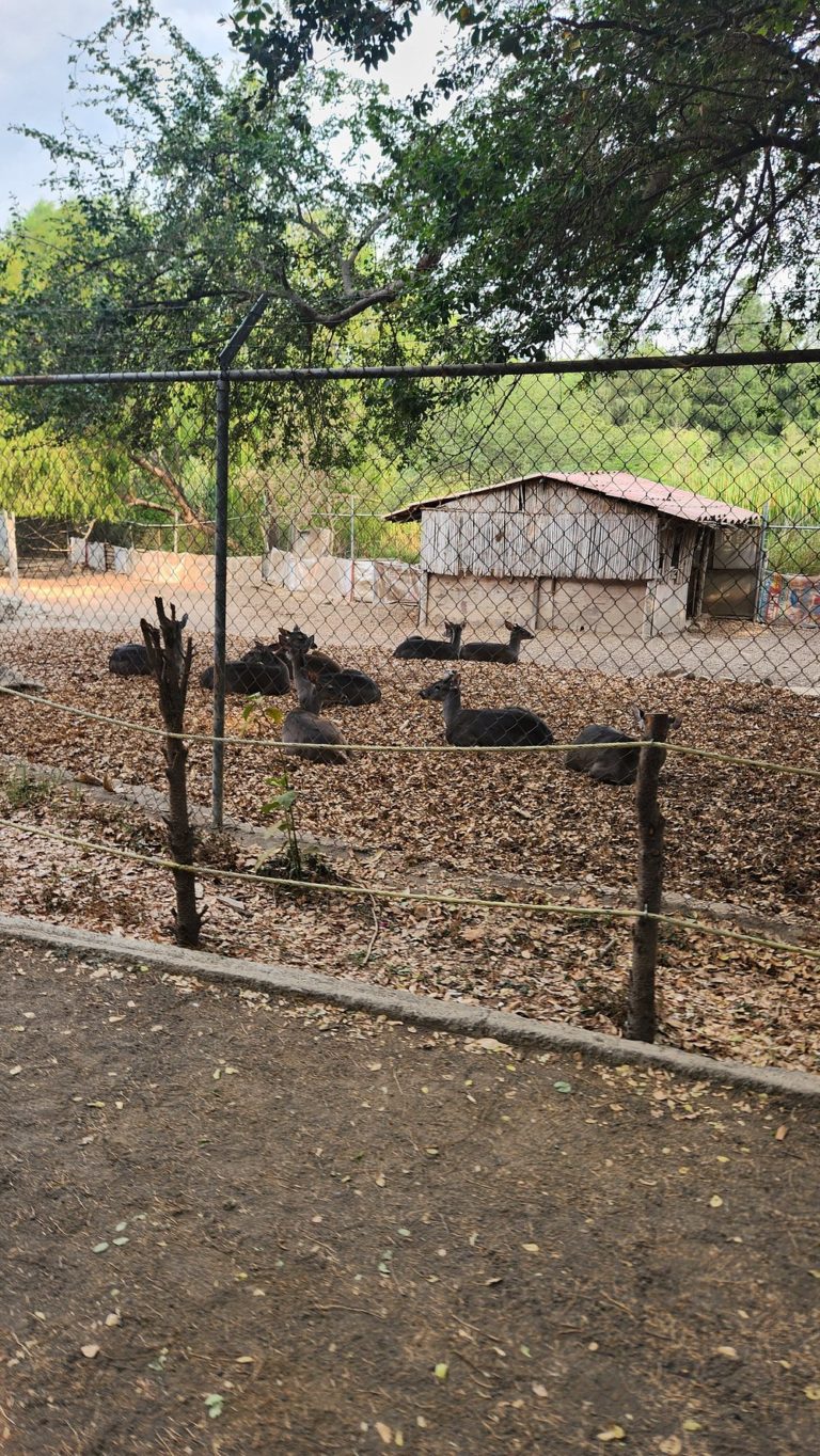 Parque-Ecológico-Omiltemi-mexico