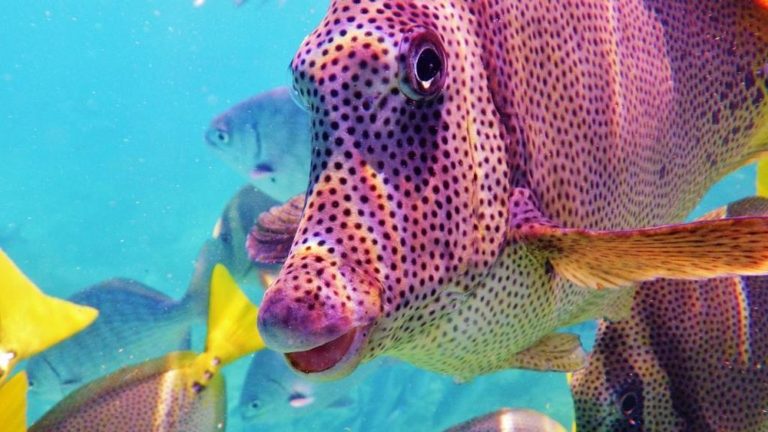 Playa-Santa-María-mexico-turismo