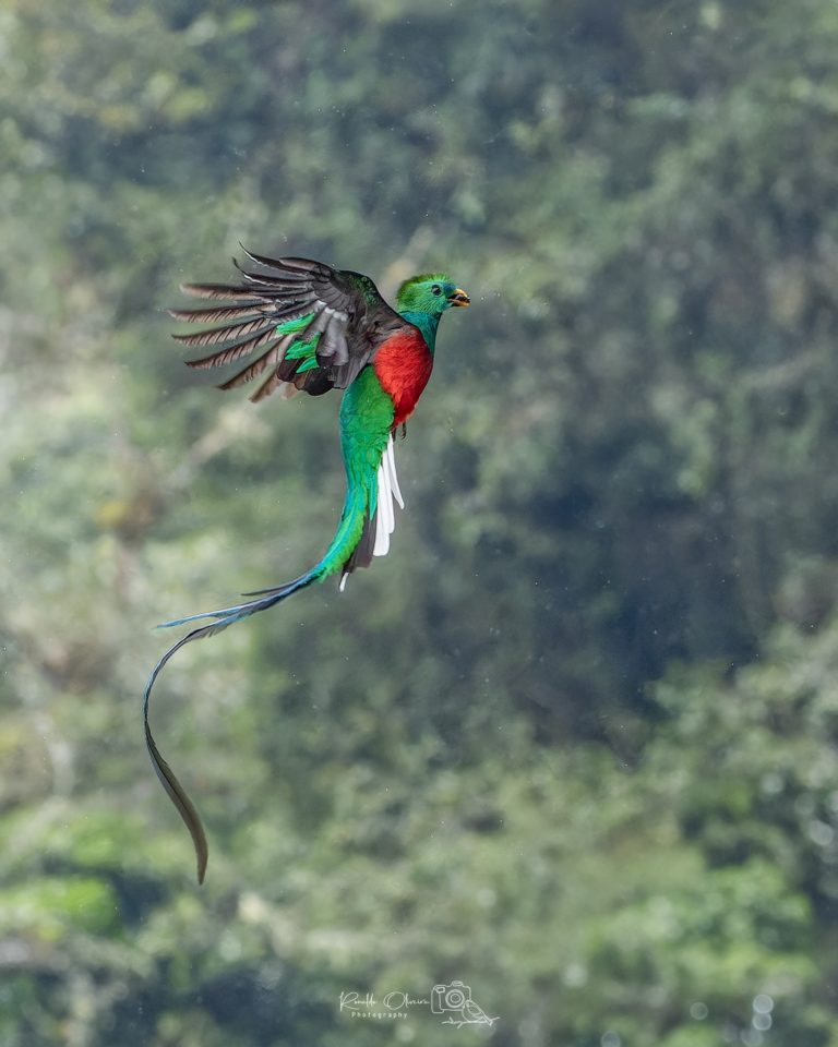 Quetzal-turismo-de-aventura-mex