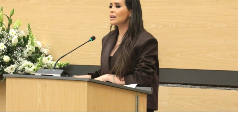 Presenta diputada Graciela Palomares exhorto para fortalecer vigilancia y protección del consumidor en temporada decembrina