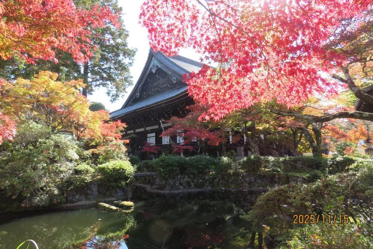 Templo-Shinnyodo-turismo-aventuras