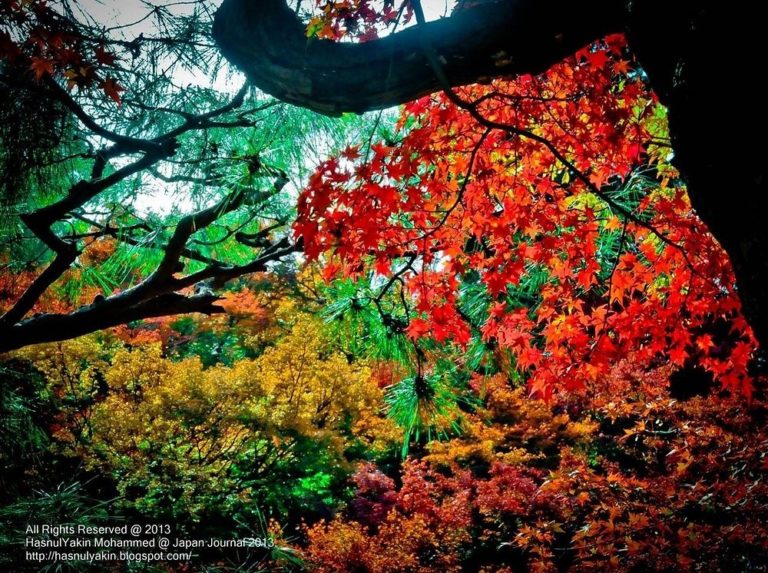 Templo-Tofukuji-jap-kioto