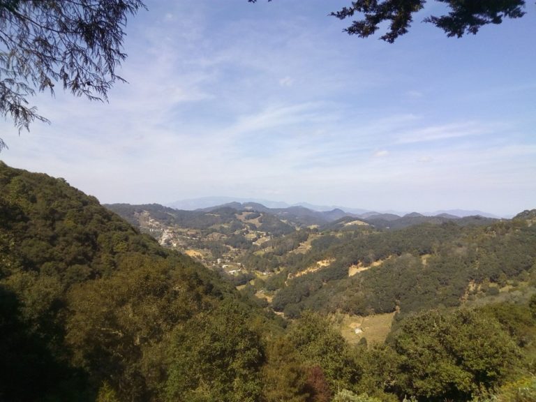 Zona-arqueológica-de-Toluquill-qro