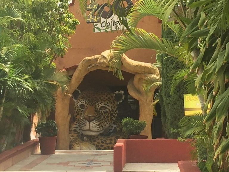 Zoológico-Zoochilpan-mexico-turismo