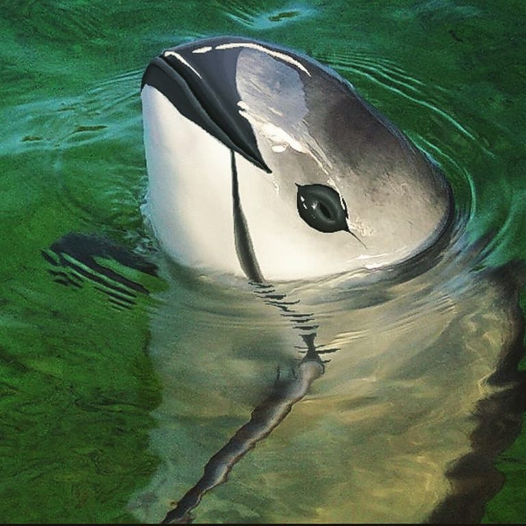 baquita-marina-turismo-aventuras-mexico