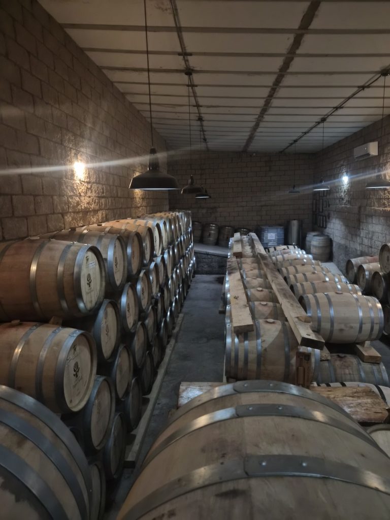 camino-real-de-tierra-adentro-viñedos