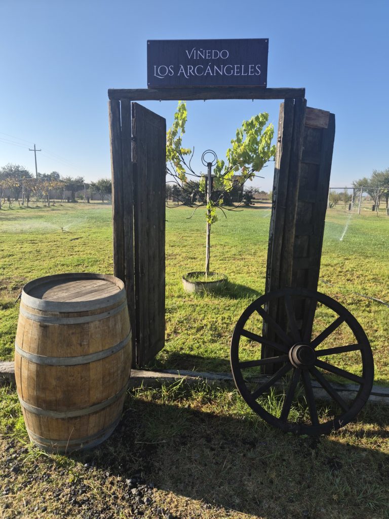 instalaciones-viñedo-camino-real-de-tierra-adentro
