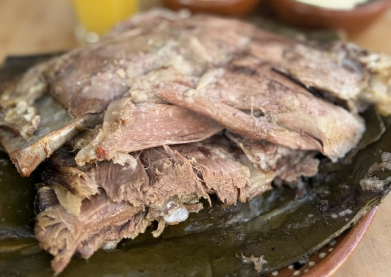 mex-turismo-barbacoa-tulancingo