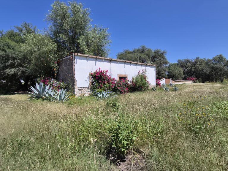 mezcalería-artesanal-camino-real-de-tierra-adentro