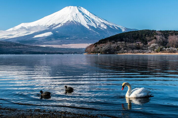 monte-fuji-en-navidad-turismo