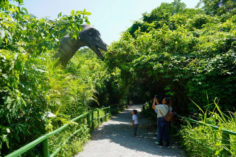 museo-de-chiapas-ciencia-mex