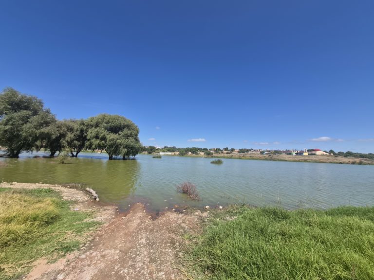 ocampo-camino-real-de-tierra-adentro