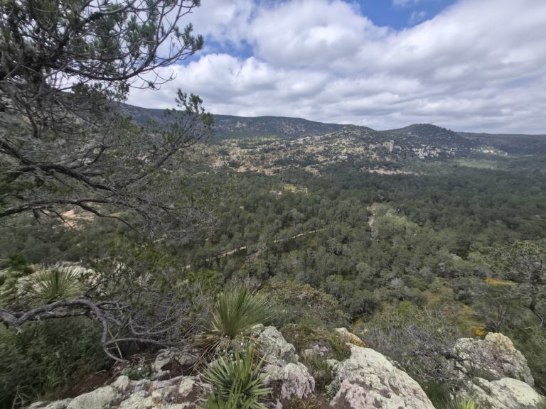 peña-alta-camino-real-de-tierra-adentro