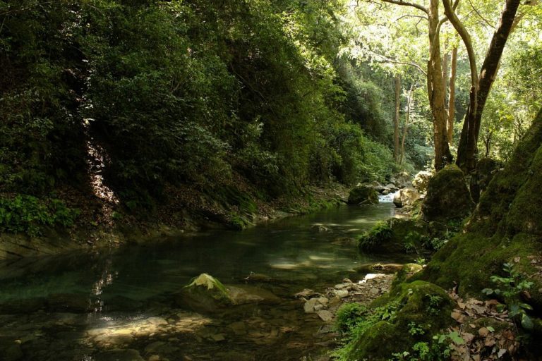 reserva-de-la-biosfera-queretaro