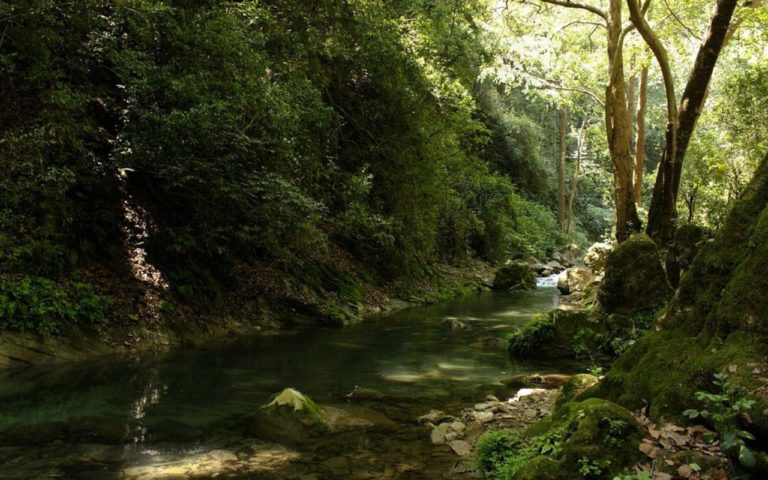 San Joaquín: aventura, historia y paisajes de la Sierra Gorda de Querétaro