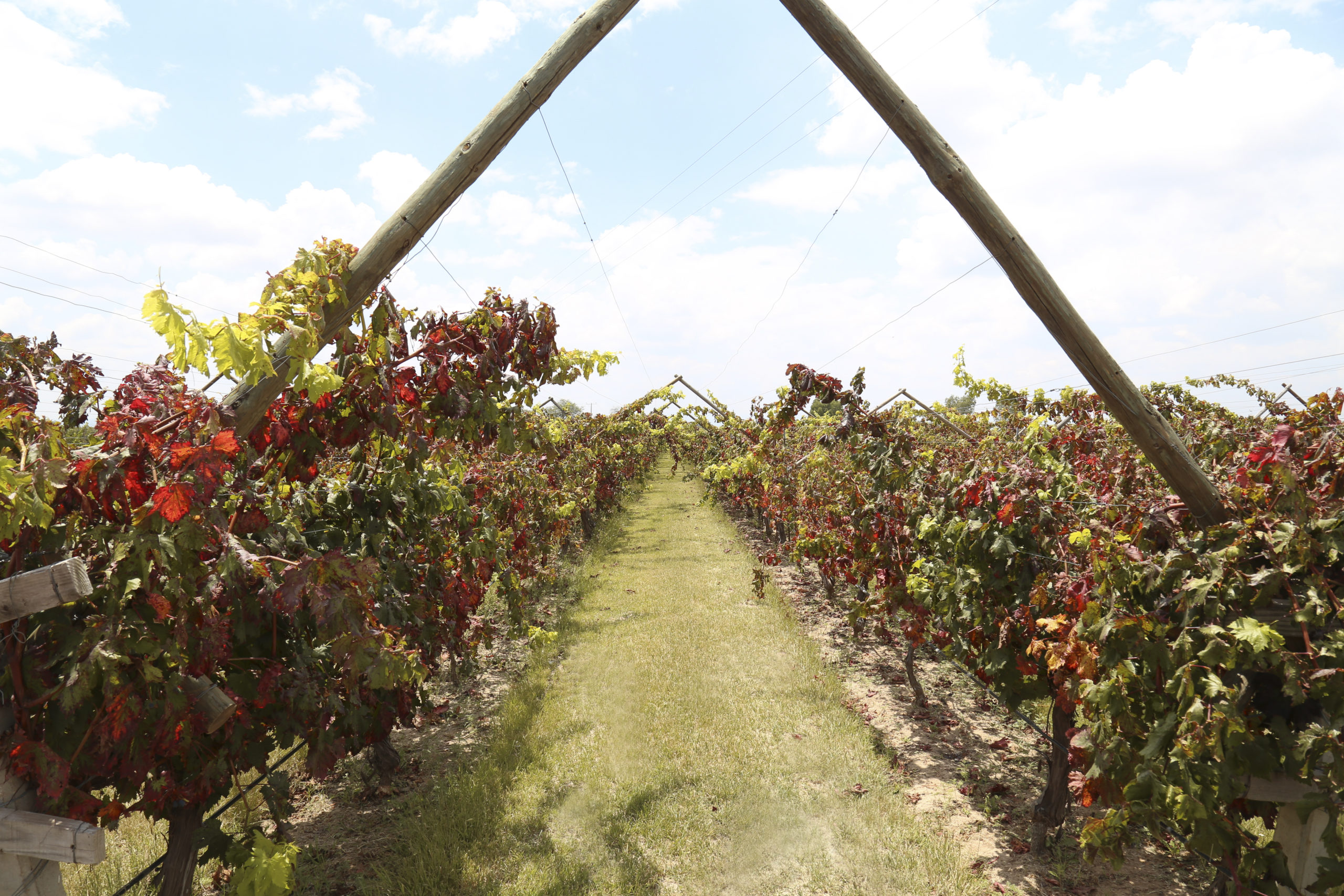 san miguel de allende naturaleza