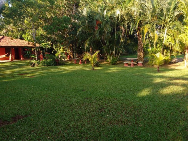 tranquility-bay-beach-en-honduras