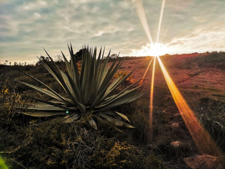 tulancingo-de-bravo-mx