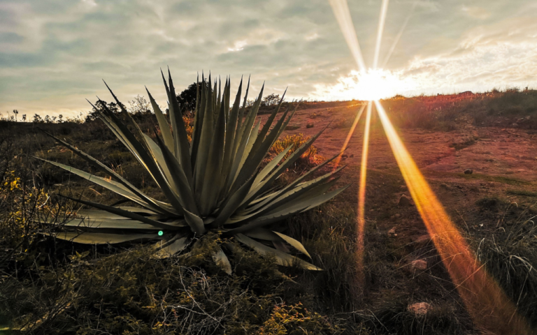 Tulancingo: experiencias auténticas en el corazón de Hidalgo