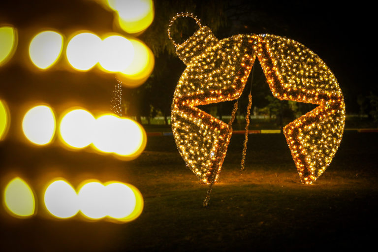 León brilla esta Navidad: actividades imperdibles
