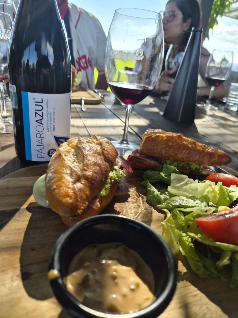 viñedo-arcangeles-camino-real-de-tierra-adentro