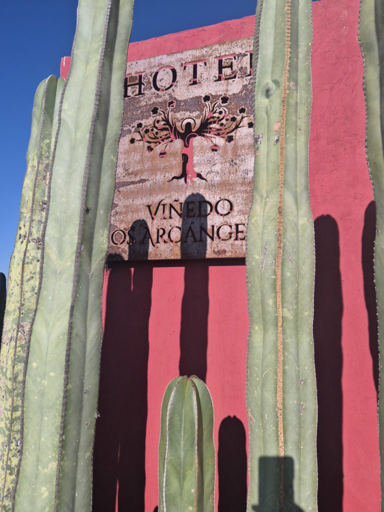 viñedos-arcangel-camino-real-de-tierra-adentro