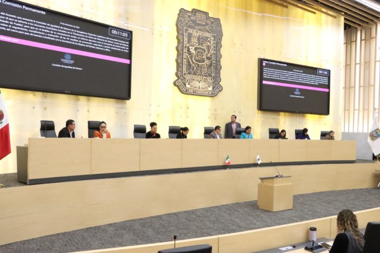 Presidenta de la Comisión de Derechos Humanos entrega al Congreso su informe de actividades