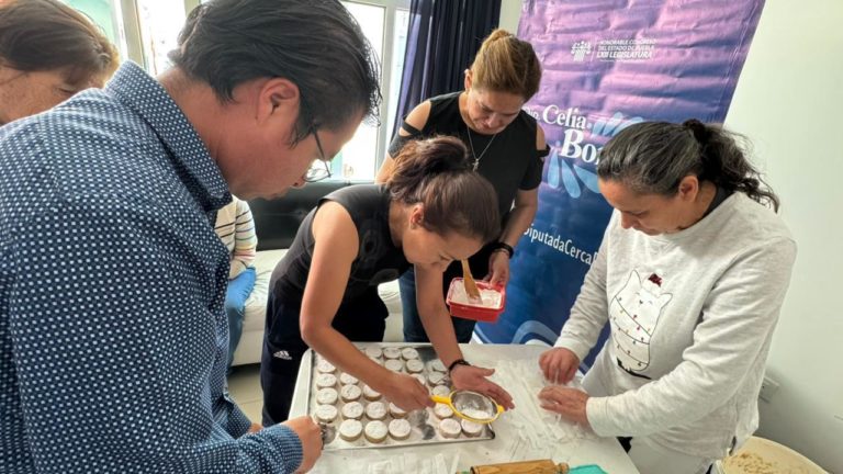 Promueve Celia Bonaga talleres para activar la economía familiar