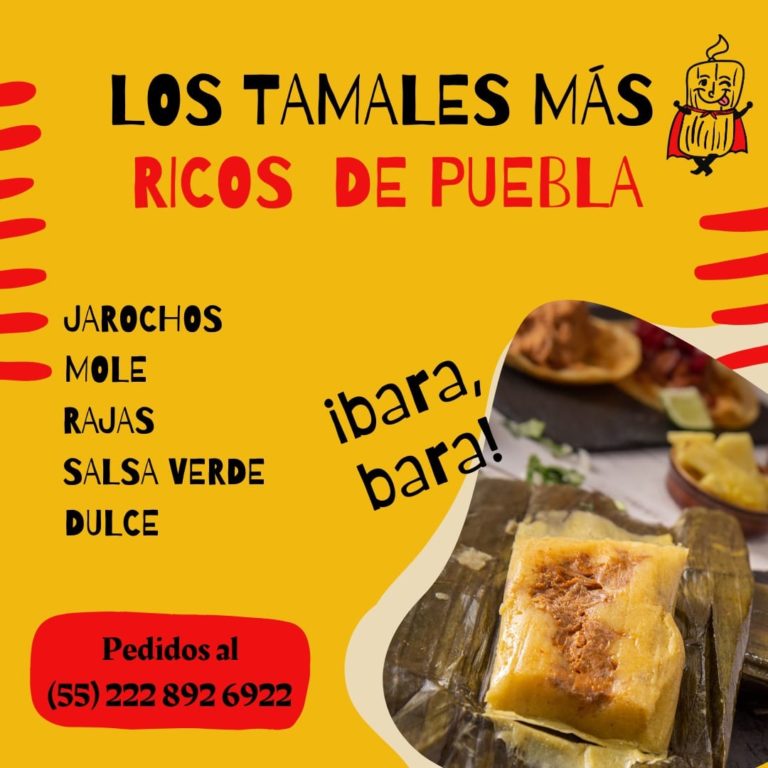 495399176_1289265433100044_459084728566933699_n