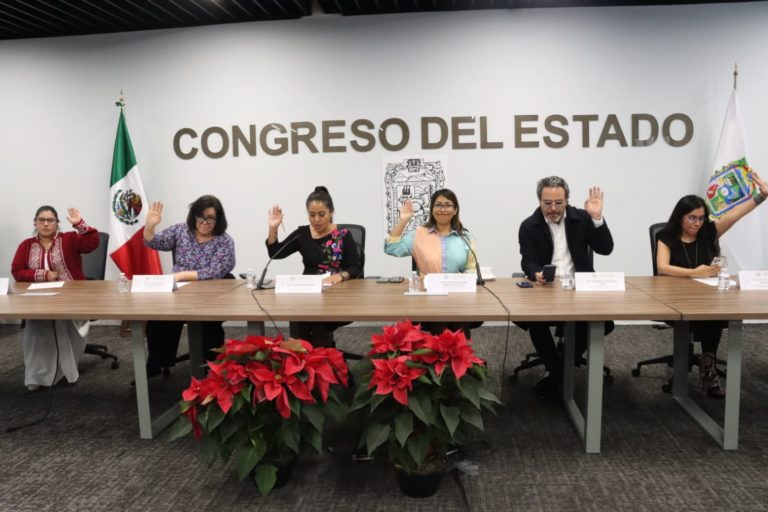 Aprueba Comisión del Congreso exhorto para promover derechos humanos de las personas adultas mayores
