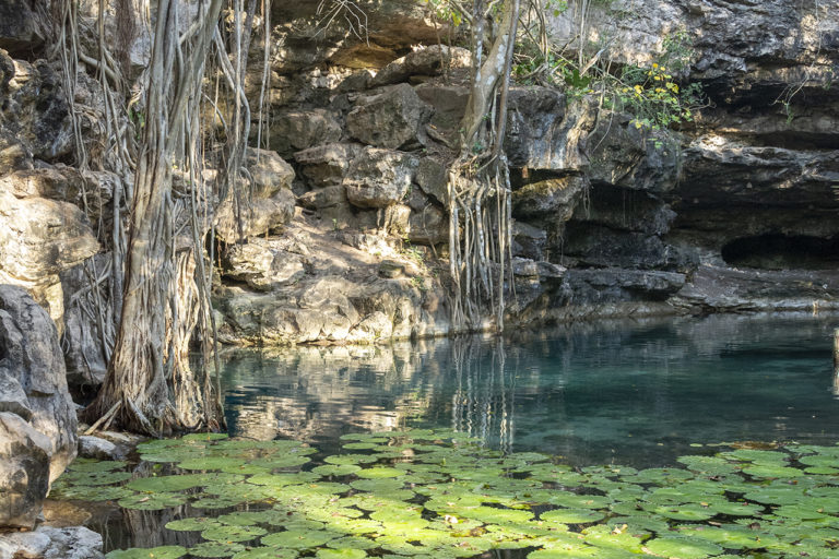 Yucatán: naturaleza, romance y experiencias únicas