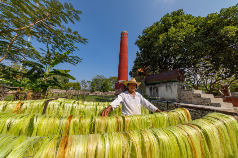 Cenotes_y_Haciendas-Hacienda-SotutadePeón-Trabajador-120