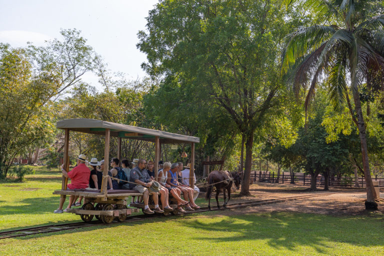 Cenotes_y_Haciendas-Hacienda-SotutadePeón-Truck-Turistas-136