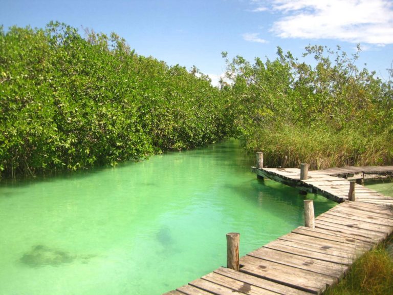 Uaymil: un paraíso natural escondido en Quintana Roo