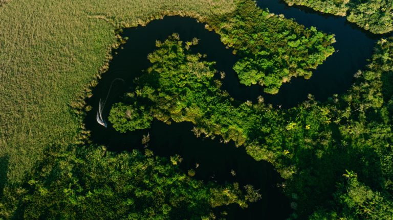 Descubre Marismas Nacionales, orgullo natural de Nayarit