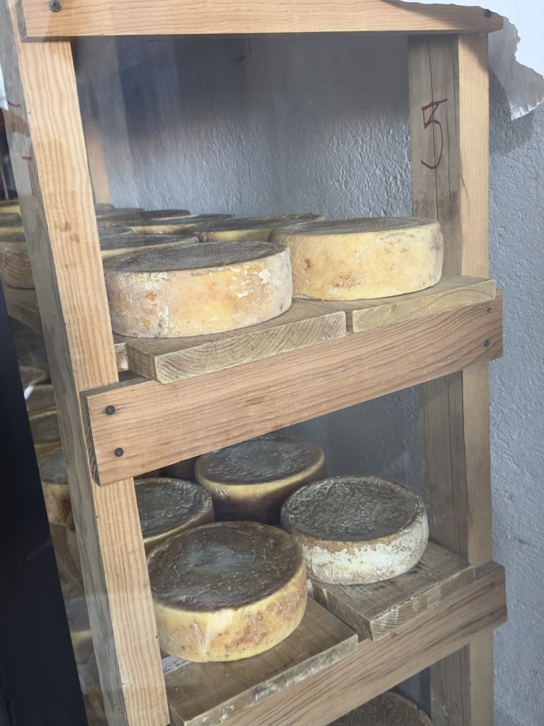 quesos-tequisquiapan-queretaro-pueblo-mágico