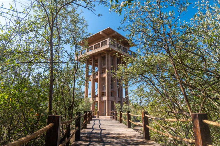 El Salado: donde la naturaleza y Puerto Vallarta conviven
