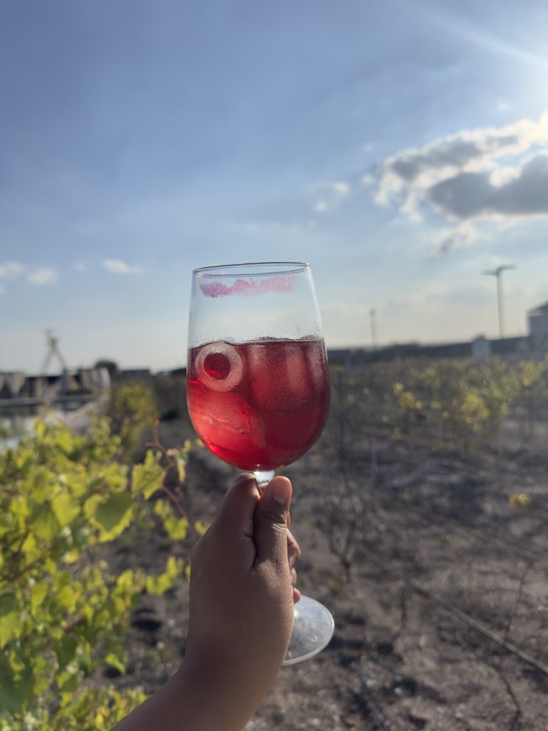 vinos-tequisquiapan-queretaro-pueblo-mágico