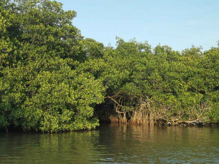 Mandinga, el escape ideal en Veracruz más allá del Puerto