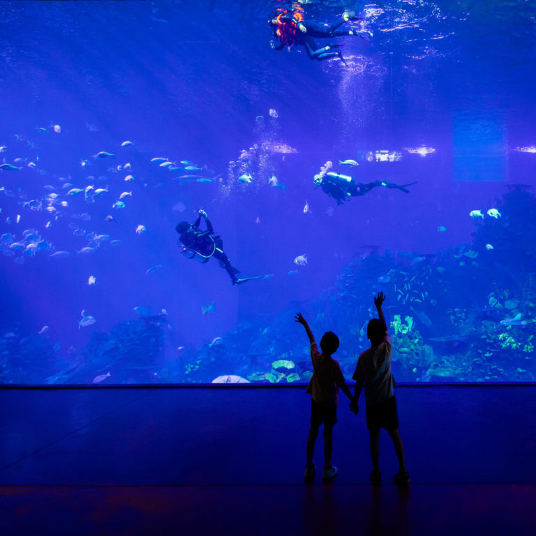 Pacífico a Barrancas_Sectur Sinaloa-11