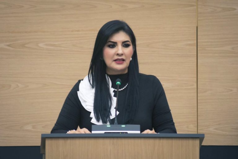 Propone Delfina Pozos endurecer sanciones por abandono de personas cuando derive en lesiones o muerte