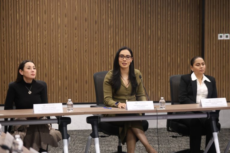 Comparece la titular de la Secretaría de Medio Ambiente ante Comisión de la LXII Legislatura